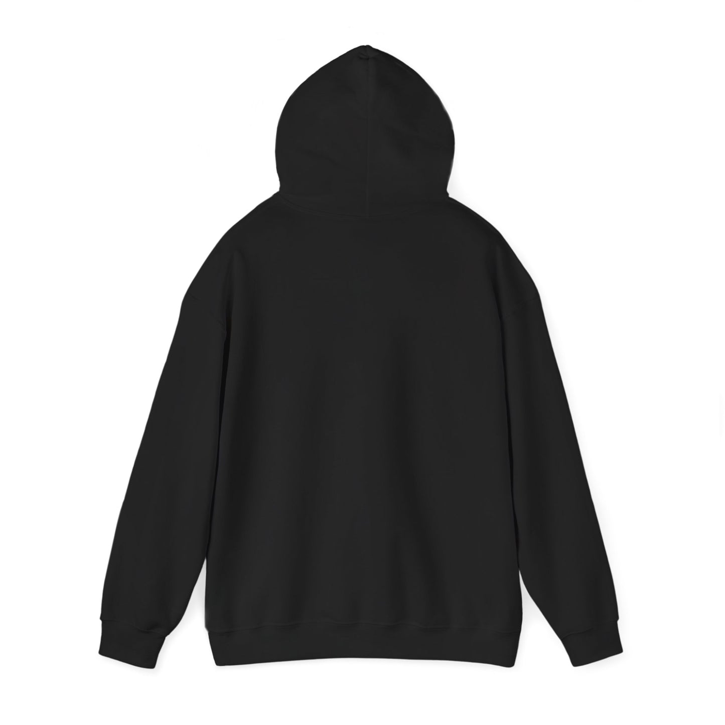 "CIA Asset" Hoodie